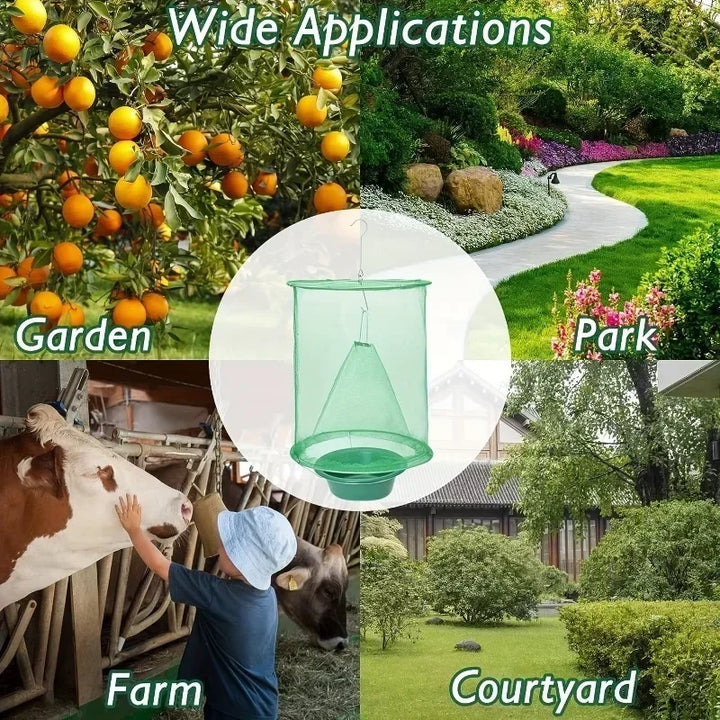 Piège à insectes sans produit chimique