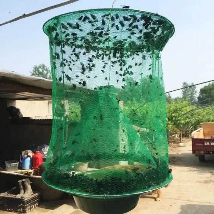 Piège à insectes sans produit chimique
