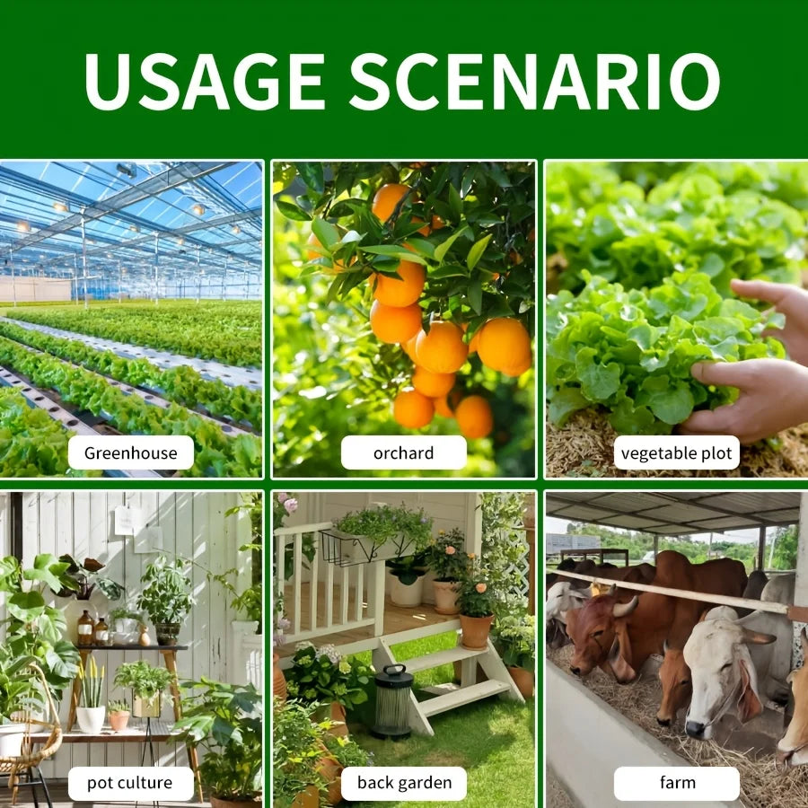 Piège à insectes sans produit chimique