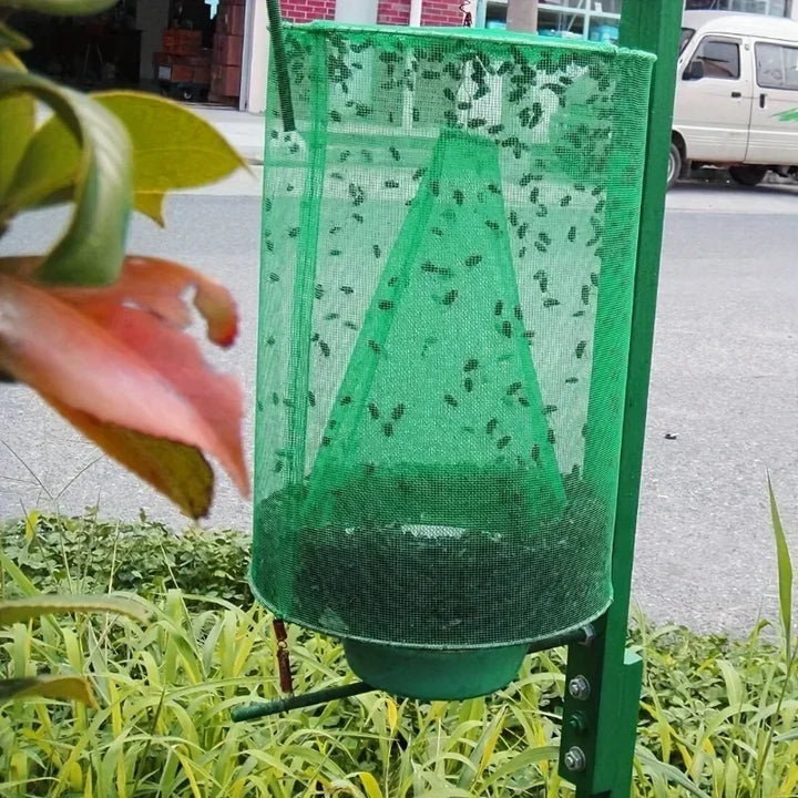 Piège à insectes sans produit chimique