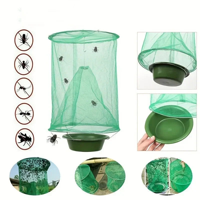 Piège à insectes sans produit chimique