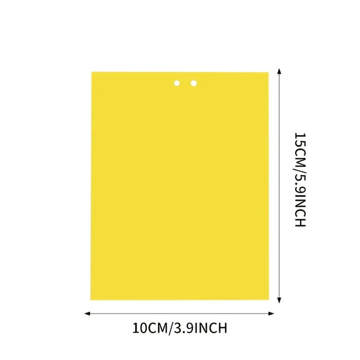 Piège à insectes sans produit chimique
