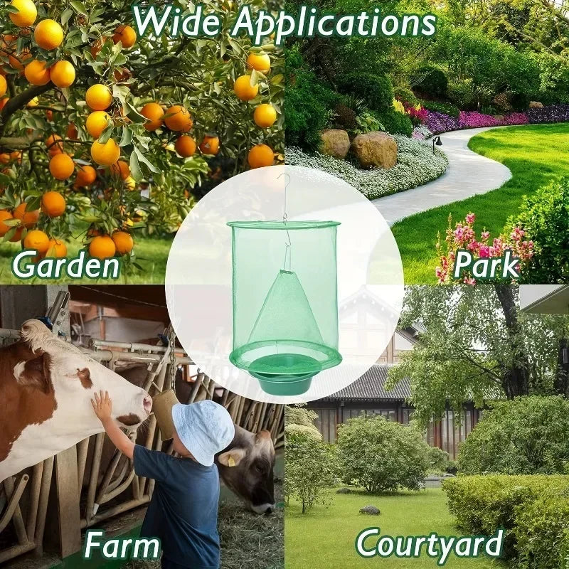 Piège à insectes sans produit chimique
